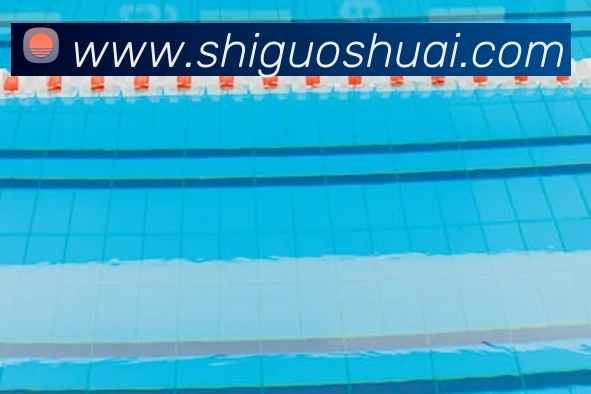 中国体竞网登录入口服务体系